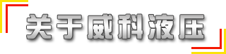 供（gòng）應國標、非標315噸液壓機